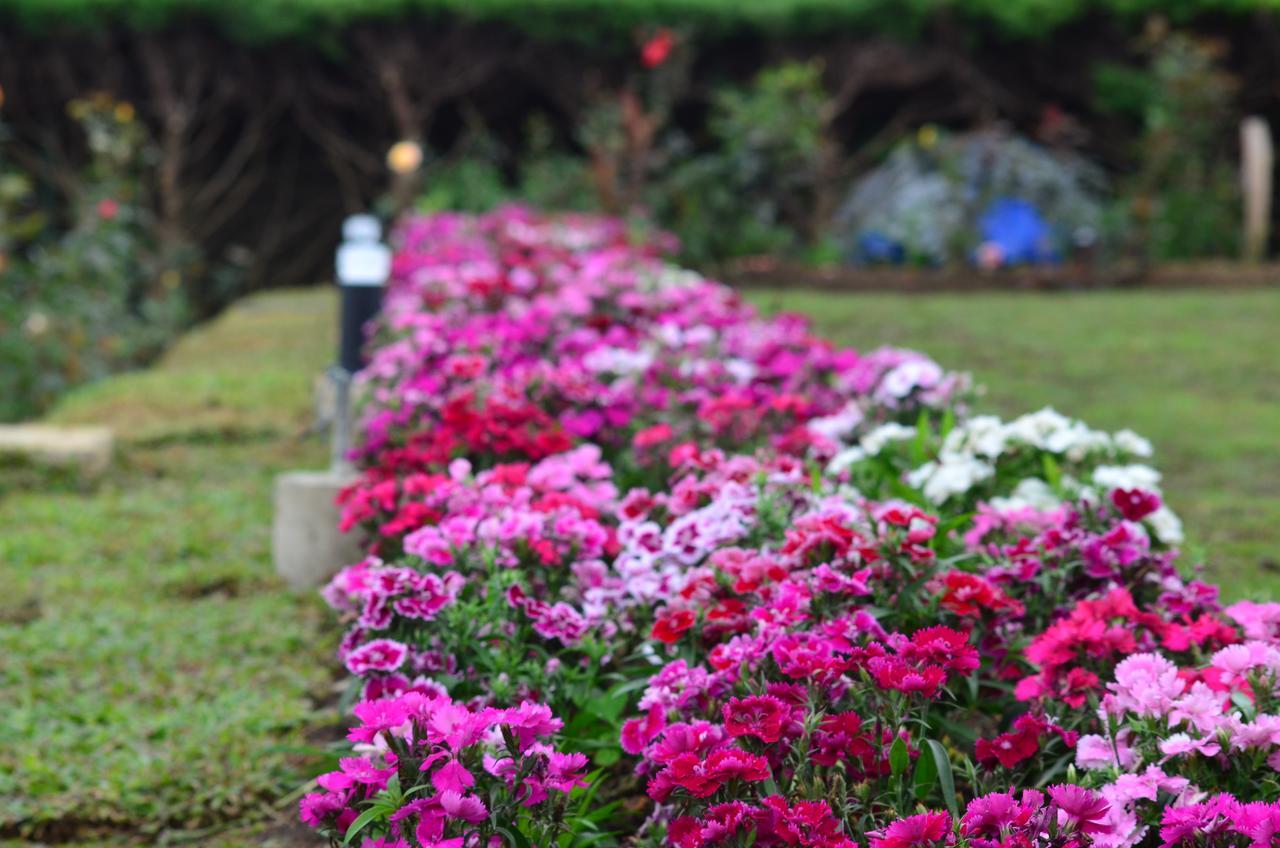 Hotel Ripon Grand Hill By Ehi Nuwara Eliya Esterno foto